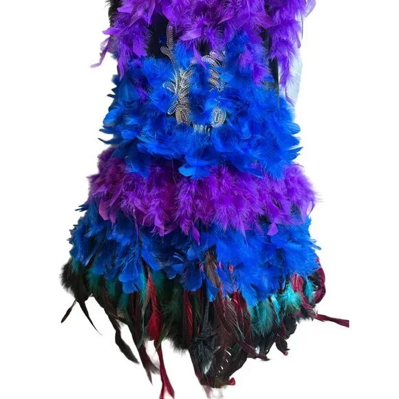 Feather Stappy Ballerina / Mardigras Dress Halloween Costume Blue & Purple - Picture 4 of 9